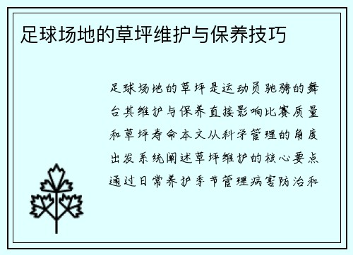足球场地的草坪维护与保养技巧